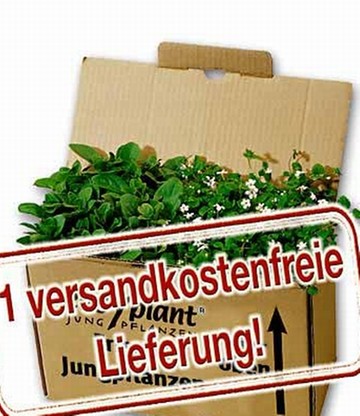 Easyplant GRATIS 'Versandkostenfreie Lieferung'