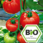 BIO-Gemüse Pflanzen A-Z