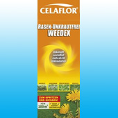 Unkraut im Rasen
