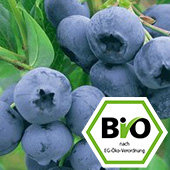 BIO-Pflanzen