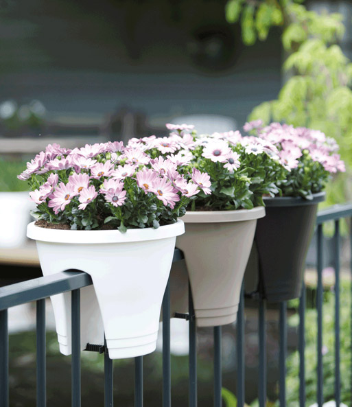Corsica Flower Bridge® anthrazit, 30 cm ø