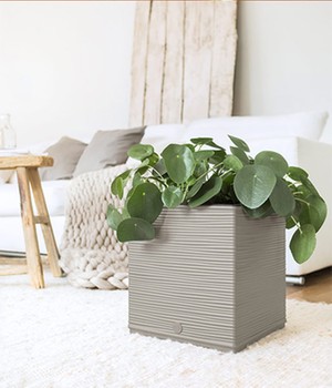 EMSA® CASA COSY Würfel 30x30x31 cm 'seidengrau'