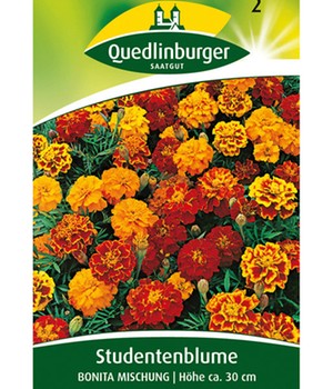 Gefüllte Tagetes-Mischung