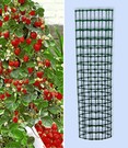 Kletter-Erdbeere 'Hummi®' und Dekorativer Rankturm