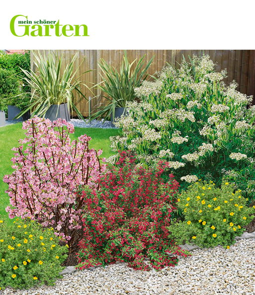 Mein Schoner Garten Bienenfreundlic Blutenhecke Bei Baldur Garten