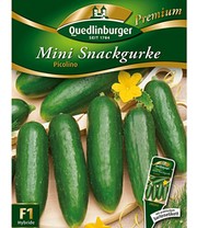 Snack-Gurke 'Picolino' F1
