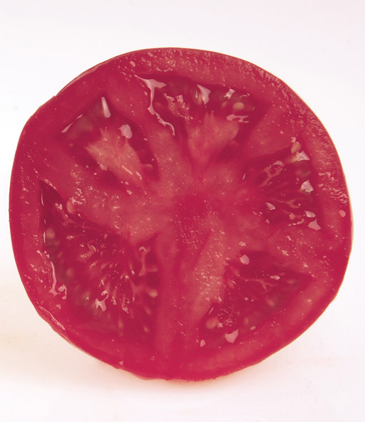 Veredelte Strauch-Tomate 'Fuji Pink' F1
