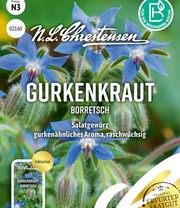 Gurkenkraut Borretsch