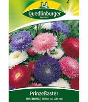 Riesen-Prinzess-Astern-Mix