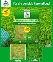 Wunder-Reparatur-Rasen