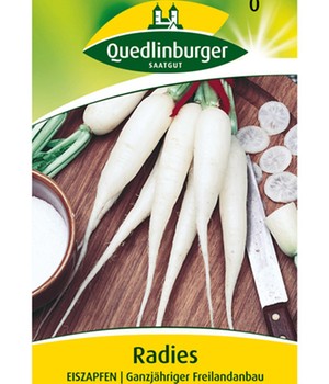 Radies 'Eiszapfen'