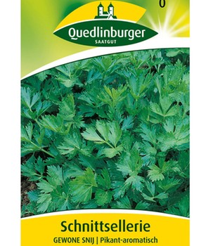 Schnitt-Sellerie
