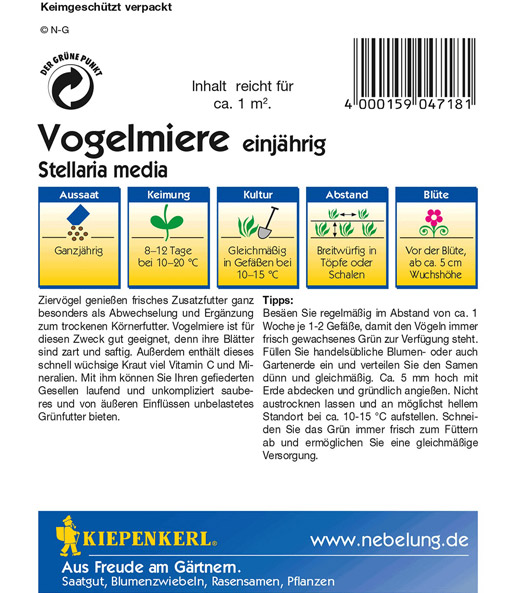 Vogelmiere