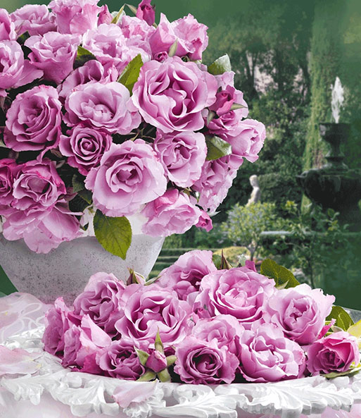 Set 'Josephine TM Evijohill N' & 'Dioressence®'