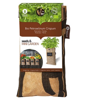 Mini-Garten BIO-Petersilie