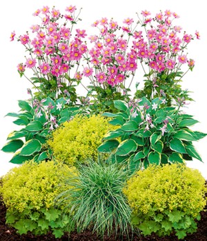 Staudenbeet 'Schattengarten'