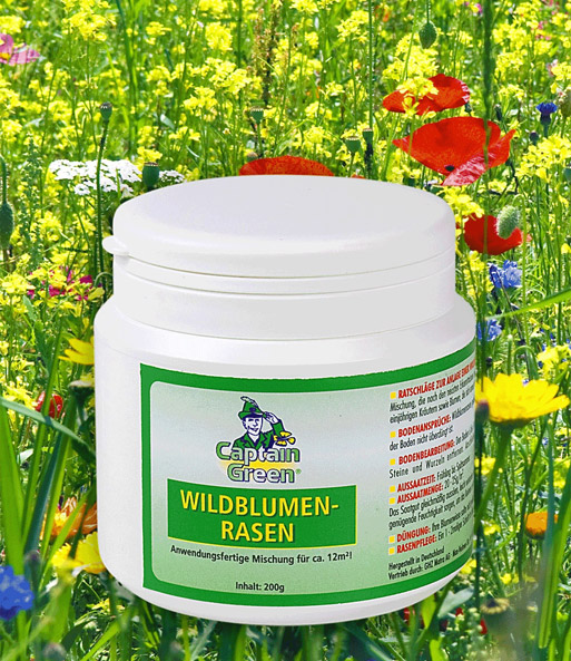 Wildblumen-Rasen