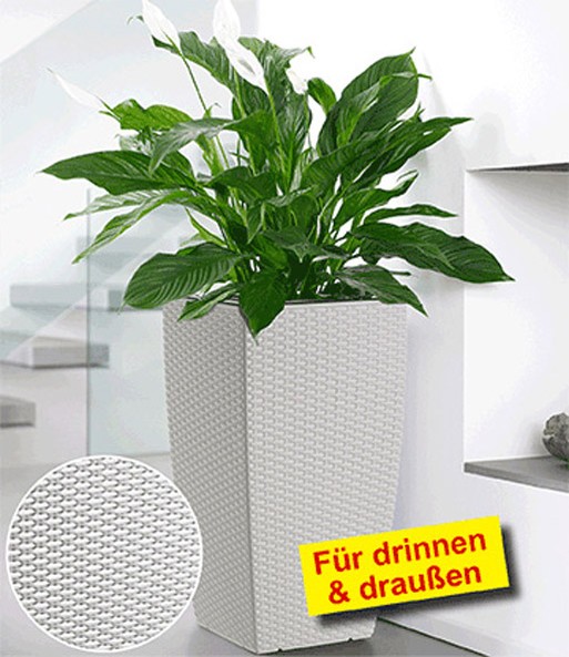 EMSA CASA MESH Säule  58 cm hoch 'weiß'