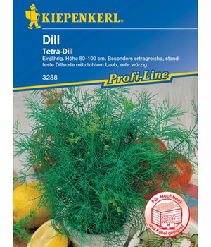 Dill 'Tetra'