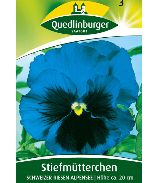 Riesen Stiefmutterchen Blau Schweizer Riesen Stiefmutterchen Samen Bei Baldur Garten