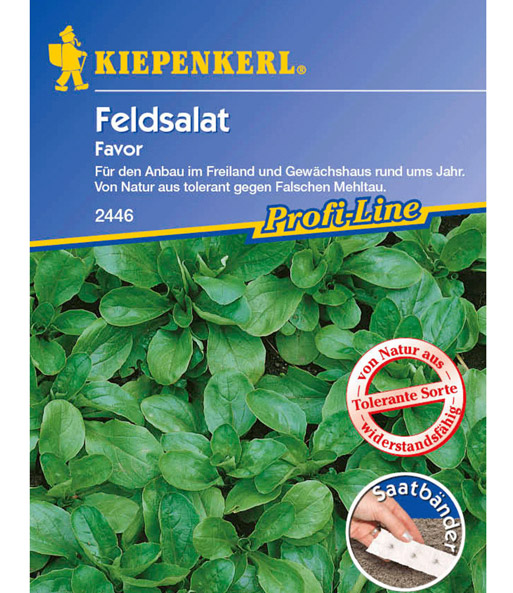Feldsalat 'Favor'