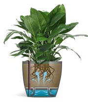 EMSA® Blumenkübel CASA BRILLIANT ø 35 cm 'granit'