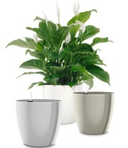 EMSA® Blumenkübel CASA BRILLIANT ø 35 cm 'granit'