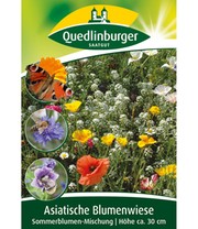 Asiatische Blumenwiese