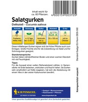 Salatgurke 'Delikateß'