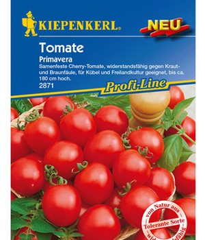 Cherry-Tomaten 'Primavera'
