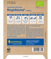BIO-Ringelblume 'Oranja'