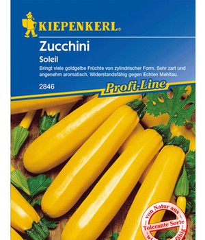 Zucchini 'Soleil'