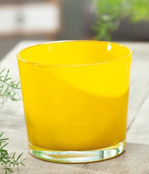Glas-Übertopf ø 14 cm 'senf'