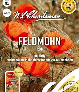 Roter Feldmohn