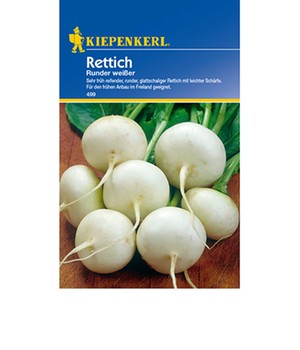 Rettich 'Runder weißer'