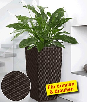 EMSA® CASA MESH Säule  58 cm hoch 'mocca'