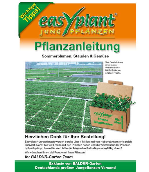 Easyplant-Pflanzanleitung
