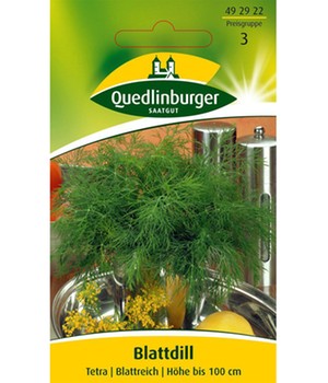 Gurken-Dill, blattreich