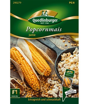 Popcornmais 'Jantár'