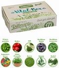 Vitalbox Saatgut-Box