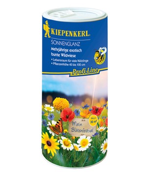 Kiepenkerl Wildwiese 'Sonnenglanz' für ca. 30 m²