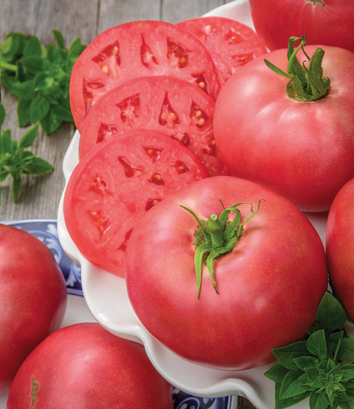 Tomaten-Kollektion 'La sélection du Chef®'