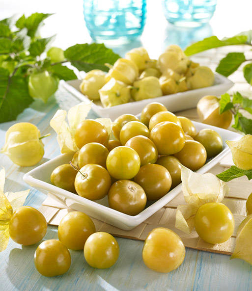 Physalis Pruinosa 'Goldmurmel'