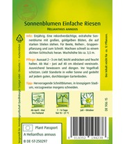 Sonnenblume 'Einfache Riesen'