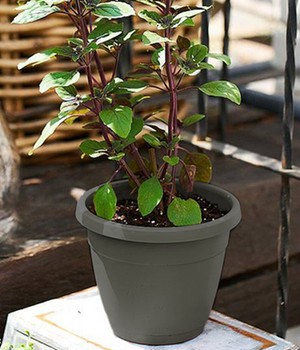 EMSA® 'My City Garden' Blumenkübel granit rund 25 cm