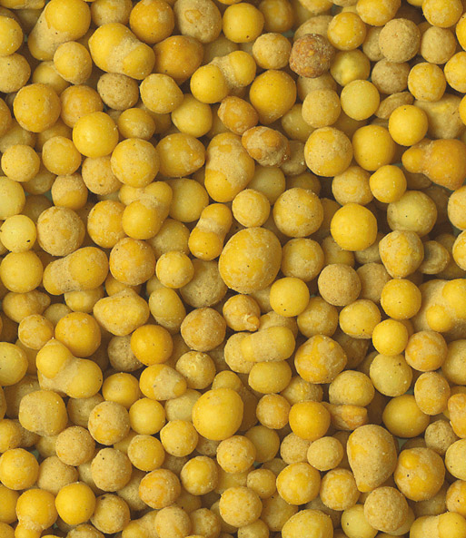 SUBSTRAL® Düngeperls Hecken & Buchs