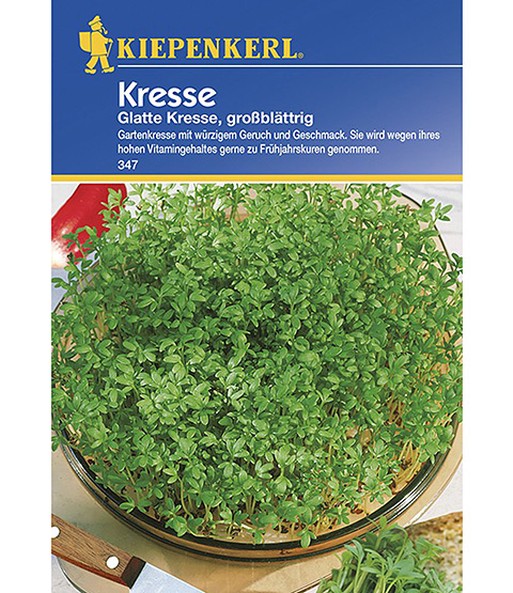 Glatte Kresse, großblättrig