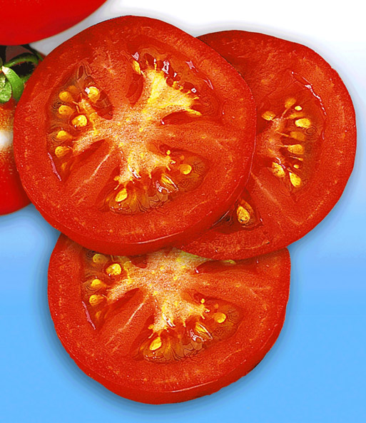 Veredelte Tomate 'Prévia' F1