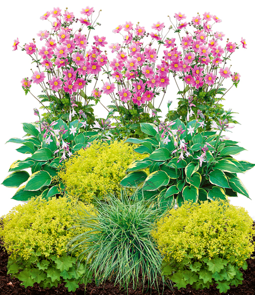 Staudenbeet 'Schattengarten'