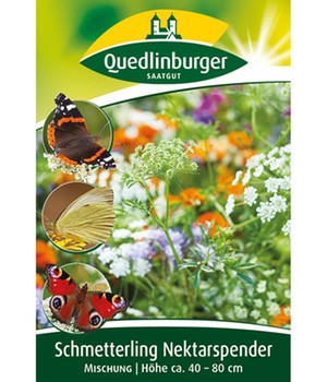 Schmetterling Nektarspender